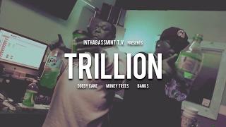 Money Treez f/ Doedy Cane & Bank$ - TRILLION (Official Video)  @InThaBassmintTv 