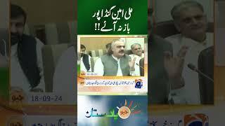 Ali Amin Gandapur | PTI vs PMLN | Maryam Nawaz vs Ali Amin