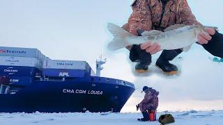 Зимний судак. Попал на клев судаков и как произошло чудо.