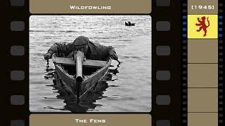 Wildfowling - The Fens (1945)