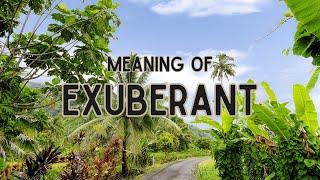 What does Exuberant mean?