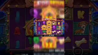 The Dog House Занос #casinogames #slot #bigwingameonline #casinowinnings #casino #playbigwinbigger