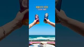 쏠비치 양양 몰아보기️