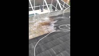 No Pressure Roof Cleaning Ormond Beach Florida