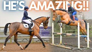 Teddy's First Dressage Test & Biggest Jump Yet - Training my young horse to be an Eventer | Vlog