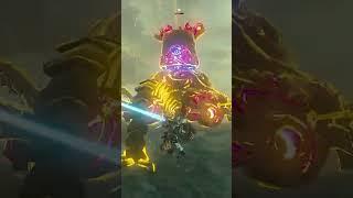 The Craziest BoTW Combo I’ve Ever Seen... #viral #Zelda #shorts