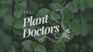 Get ready for spring with The Plant Doctors