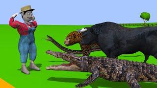 JUCA PAÇOCA fortão, o TOURO JORJÃO, a ONÇA, a COBRA e o JACARÉ, ANIMAÇÃO 3D