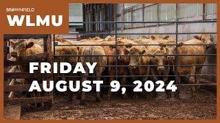 Cattle markets drop again this week | Weekly Livestock Market Update