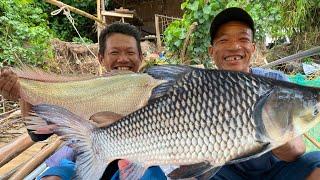 Lên Con ” Cá  Hô “Hiếm Gặp Ngay Nhà Máy Điện | Cá Hô Nấu Bần Lai Rai