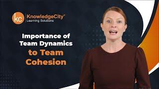 Importance of Team Dynamics to Team Cohesion | Knowledgecity