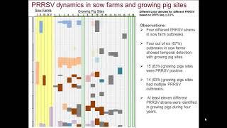 Dr. Angulo & Dr. Yeske - Understanding PRRSV Infection Dynamics in Growing Pigs