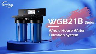 Lab-tested Whole House Water Filter System | iSpring WGB21B Series