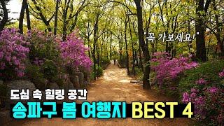 절대 후회 없을 송파구 봄 여행지 Best4 