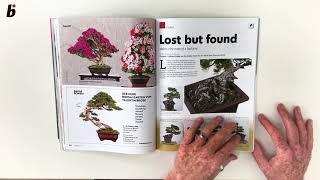 The May /June issue  Bonsai Focus