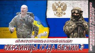 ОЙ, А ЧТО СЛУЧИЛОСЬ В КУРСКОЙ ОБЛАСТИ ? КУДА БЕЖИТЕ ОКРАИНЦЫ ?