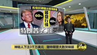 传统民调显示选情胶着   神秘人下重本赌特朗普赢? | 八点最热报 20/10/2024