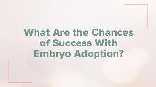 FAQs: What are the Chances of Success with Embryo Adoption?