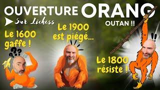 3 parties d'échecs sur l'ouverture Orang-Outan ! 