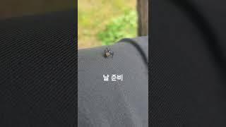 #언덕에서 날거야