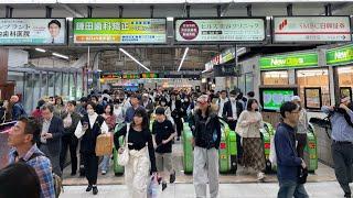 LIVE IN JAPAN(10.25.24)  Evening Rush Hour Walk in Fujisawa