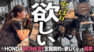 【もう限界】やっぱりモンキーが欲しい！ │ HONDA Monkey【モトブログ】