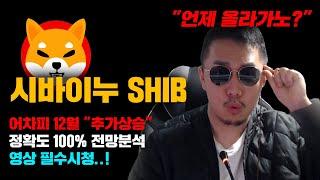 시바이누 SHIB [긴급] 도지코인도 설명해줌! 빠르면 다음주, 늦어도 12월부터 "추가상승" 나온다..! 정확도 100% 전망분석, 영상 필수시청..! #코인시황