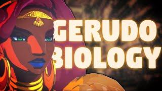 The FASCINATING Biology of the Gerudo Tribe - Breath of the Wild Lore