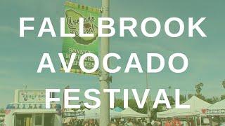 Fallbrook Avocado Festival 2019 | Tim Kirk Team