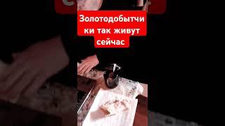 #золото Золотодобытчики  Колымы трудились по 12-14 часов   #старатели  #магаданскаяобласть #питер