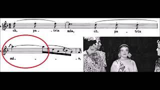 THE VIBRATO - proper action