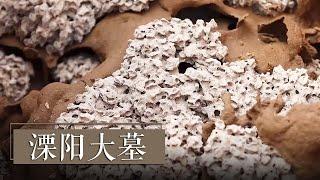 揭秘石棺中的白色珊瑚状诡异花朵《2019考古进行时》第一季 溧阳大墓 | 中华国宝