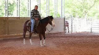 15 Things every owner should know before sending a horse to a trainer