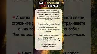 Как НЕ принести ПОРЧУ с улицы
