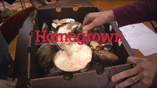 Welcome to Homegrown | NC State Extension