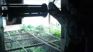 Shakthan Thamburan Palace Documentary