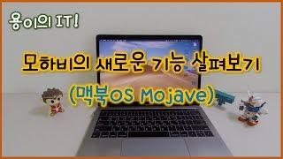 맥북OS 모하비(Mojave)!!  새로운 기능 간략히 살펴보기