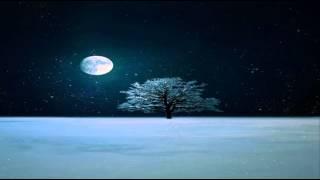 Newax - Winter Night