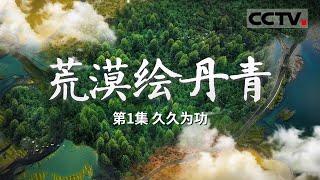 《荒漠绘丹青》 绿色长城：中国防沙治沙的生态奇迹 EP01【CCTV纪录】