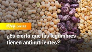 ¿Es cierto que las legumbres tienen antinutrientes? con Boticaria García -Saber Vivir | RTVE Cocina