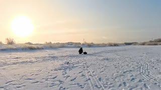 Весенняя рыбалка, жерлицы-живец, удочка-вибы, мормышка! Окунь и щука!