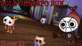 SOLO SHRIMPO RUN (floor 11) - dandys world