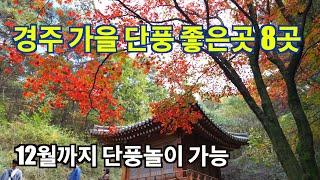 경주 가을단풍 볼만한곳 8곳 언제가야 절정일까