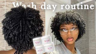 UPDATED WASH DAY ROUTINE ON LOW POROSITY 4B/4C NATURAL HAIR *Get a PERFECT Twistout every time!*