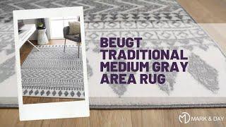 Beugt Traditional Medium Gray Area Rug