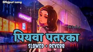 #video" Piyawa patarka||slowed + reverb || New Bhojpuri song || #ankush#lofi ||Tending Lofi remix