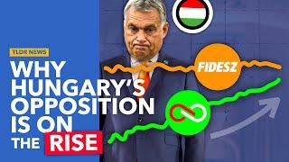 Hungary's Opposition Surges in the Polls: What Next?