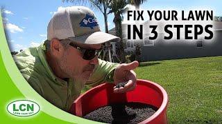 Lawn Care Tips for Beginners | Fix Your Lawn In 3 Steps from Allyn Hane, The Lawn Care Nut