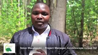 Goldenscape Trees Africa overview