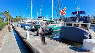 Tossing Baits Under Giant Sailboats For Dinner! *I've never seen this fish before*